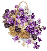 Прикрепленное изображение: violets.gif